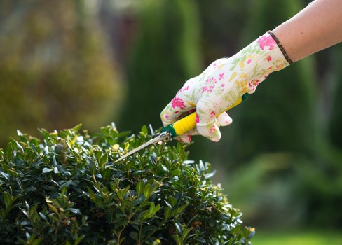 Illustration of hedge trimming tools beside a residential hedge in Sutton