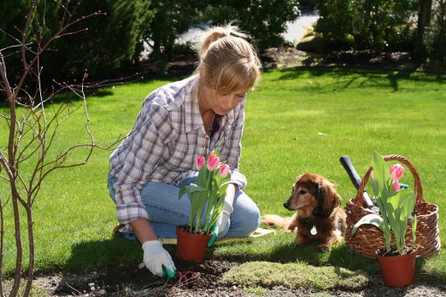 Sorted garden waste bins and composting piles at a sustainable gardening site